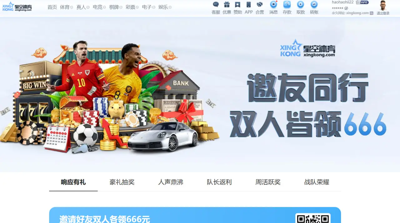 市场热度与玩家真实反馈