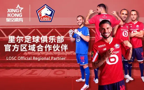 用户口碑与市场认可度分析