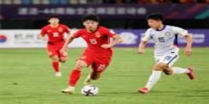 数据之外的智慧：贝纳多的隐形影响力- 星空体育