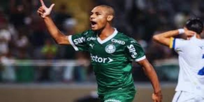 技术特点分析：内森的潜力与未来-星空体育