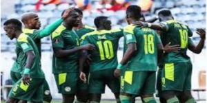 星空体育未来展望：更衣室化学反应与年轻核心成长-星空体育