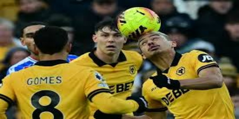 球队管理：沃伯顿的领导风格与年轻球员的适应性- 星空体育