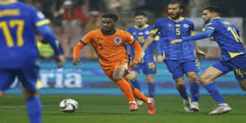 蓝军未来的挑战与机遇- 星空体育