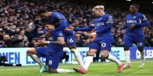 专家观点与交易可行性-星空体育