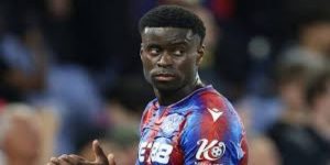 楚克乌梅卡租借多特蒙德，迎来新挑战 -星空体育